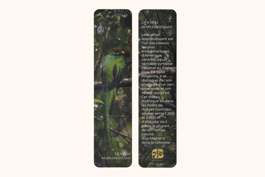 Marque-page photo animalière quetzal resplendissant - impression 350g pelliculage brillant