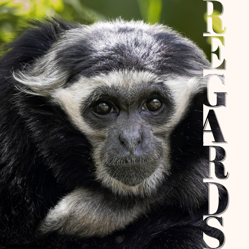 Regards