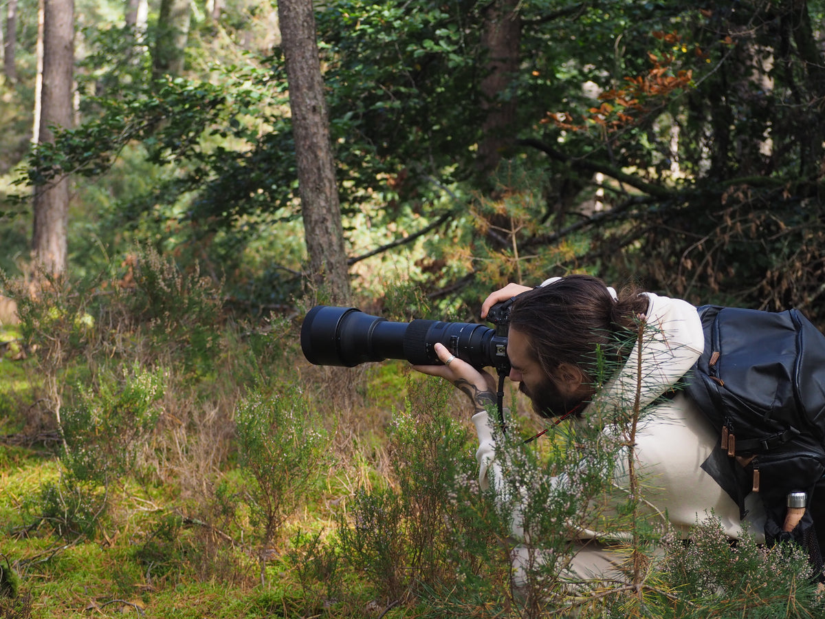 Axel Bertrand, photographe animalier