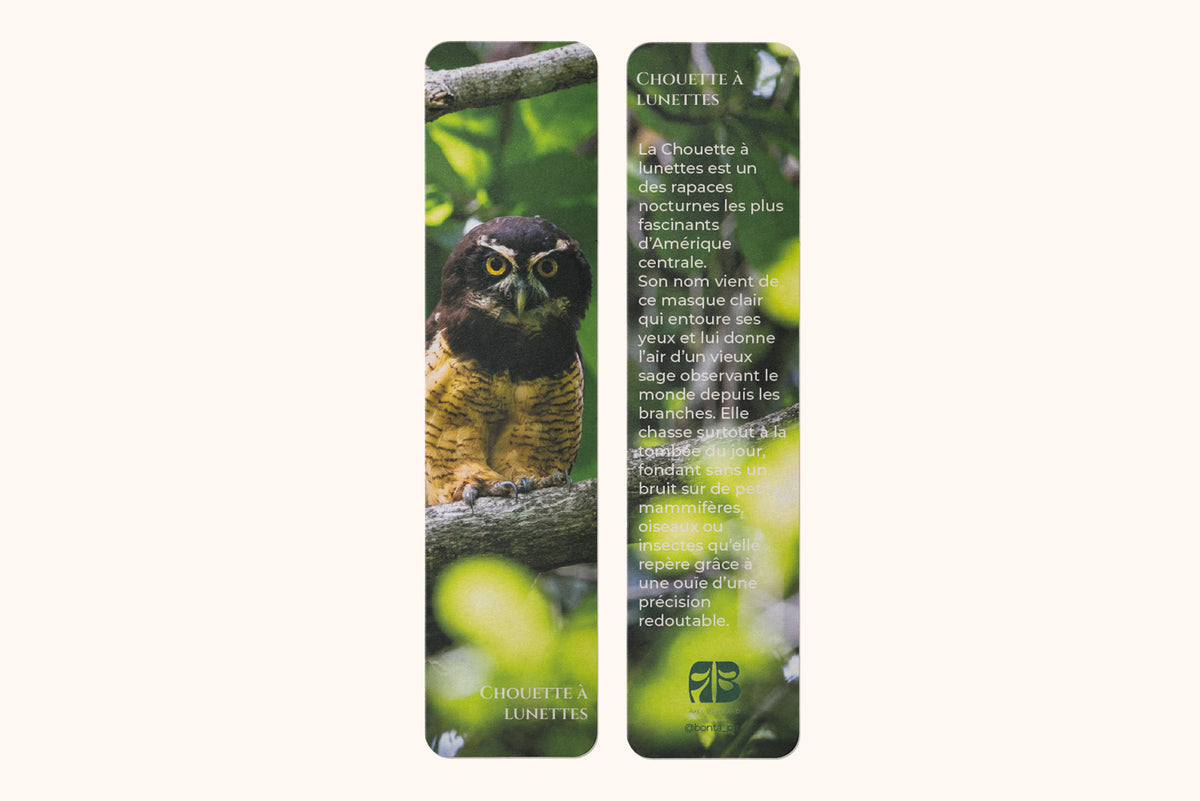 Marque-page photo animalière Chouette à lunettes - impression 350g pelliculage brillant