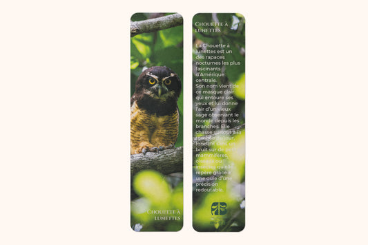 Marque-page photo animalière Chouette à lunettes - impression 350g pelliculage brillant
